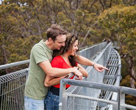 Valley Of The Giants Tree Top Walk - Accommodation Gladstone 0