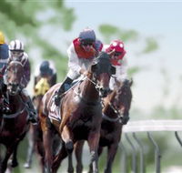 Colac Turf Club - Accommodation Gladstone