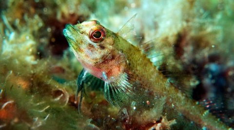 Busselton Jetty & Underwater Observatory Tour - Accommodation Gladstone 7
