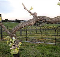 Nalbra Estate Wines - Accommodation Gladstone