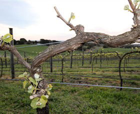 Nalbra Estate Wines - Accommodation Gladstone 0