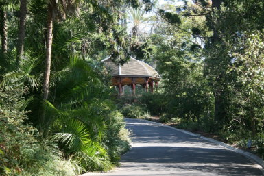Royal Botanic Gardens Victoria - Accommodation Gladstone 0