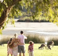 Yanchep National Park - Bushwalking Trails - Accommodation Gladstone