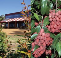 Bushfood Factory and Cafe - Accommodation Gladstone