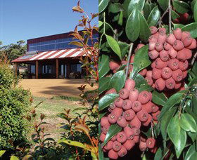 Bushfood Factory And Cafe - Accommodation Gladstone 0