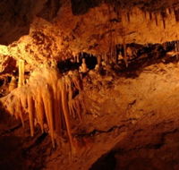 Yanchep National Park - Crystal Cave - Accommodation Gladstone