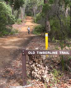 Cundinup WA Accommodation Gladstone
