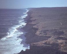 Book Denham WA Attractions Accommodation Gladstone Accommodation Gladstone