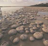 Lake Clifton Thrombolites - Accommodation Gladstone