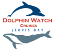 Dolphin Watch Cruises - Accommodation Gladstone 2