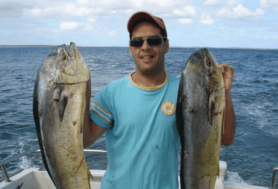 Jervis Bay Fishing and Charters - Accommodation Gladstone