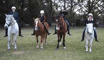 Valhalla Horse Riding - Accommodation Gladstone 1