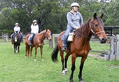 Valhalla Horse Riding - Accommodation Gladstone 2