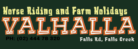 Valhalla Horse Riding - Accommodation Gladstone 4