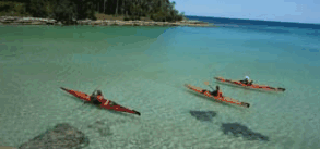 Jervis Bay Kayak & Paddlesports - Accommodation Gladstone 4