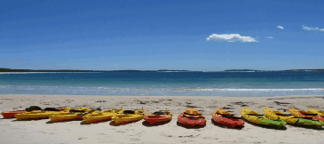 Jervis Bay Kayak & Paddlesports - Accommodation Gladstone 5