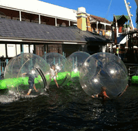 Aussie Waterballs - Accommodation Gladstone