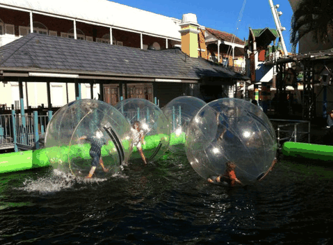 Aussie Waterballs - Accommodation Gladstone 0