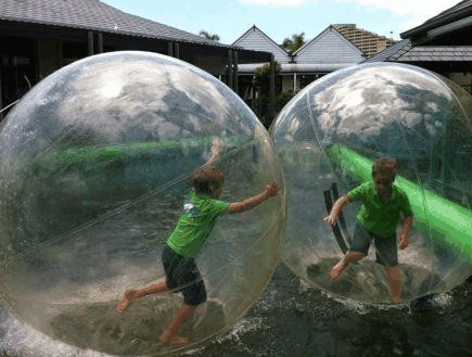 Aussie Waterballs - Accommodation Gladstone 1