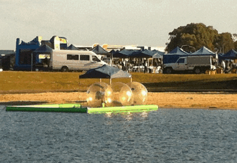 Aussie Waterballs - Accommodation Gladstone 2