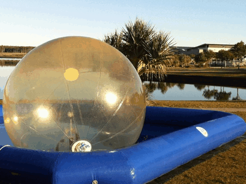 Aussie Waterballs - Accommodation Gladstone 3