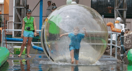 Aussie Waterballs - Accommodation Gladstone 4