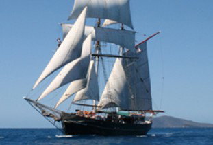Australian Tallship Cruises - Accommodation Gladstone 0