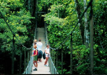 BTS Tours Pty Ltd - Accommodation Gladstone 4