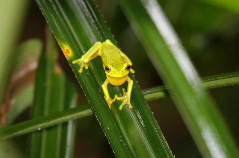Daintree River Cruise Centre - Accommodation Gladstone 0