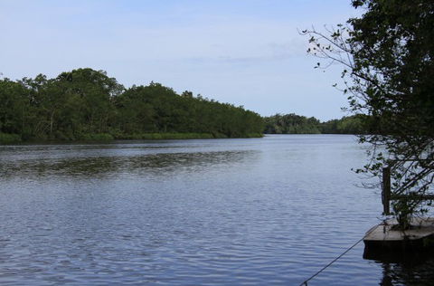 Daintree River Cruise Centre - Accommodation Gladstone 2