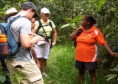 Ingan Tours - Spirit Of The Rainforest Tour - Accommodation Gladstone 0