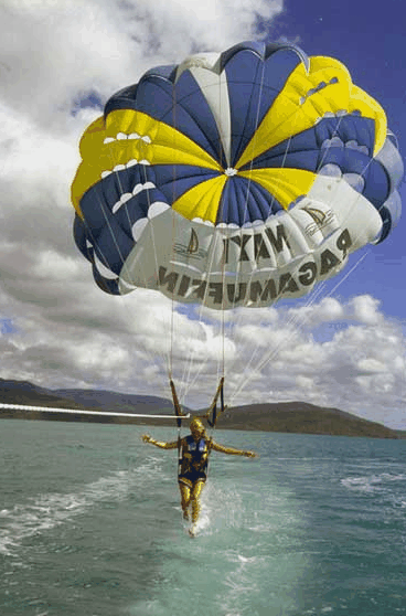 Island Parasail - Accommodation Gladstone 2