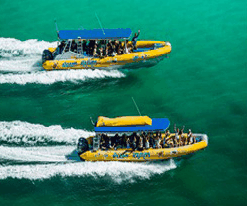 Ocean Rafting - Accommodation Gladstone 2