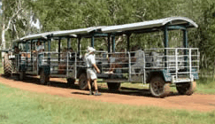 Whitsunday Crocodile Safari - Accommodation Gladstone 2