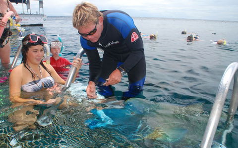 Reef Magic Cruises - Accommodation Gladstone 4