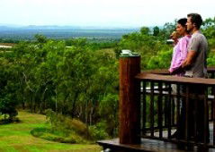 Skybury Coffee, The Australian Coffee Centre - Accommodation Gladstone 4
