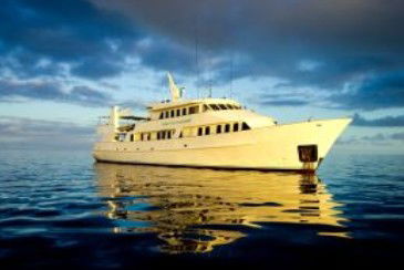 Spirit Of Freedom - Accommodation Gladstone 0