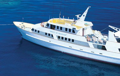 Spirit Of Freedom - Accommodation Gladstone 4