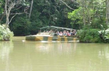 Tropic Wings Coach Tours - Accommodation Gladstone 1