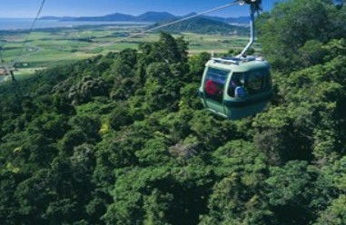 Tropic Wings Coach Tours - Accommodation Gladstone 2