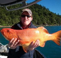 Gone Fishing by Coral Sea Fishing Charters Airlie Beach - Accommodation Gladstone