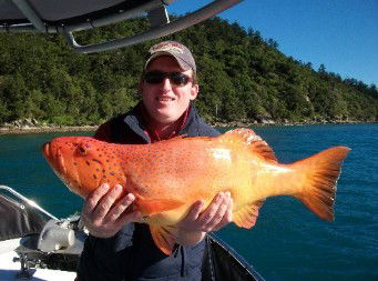 Gone Fishing By Coral Sea Fishing Charters Airlie Beach - Accommodation Gladstone 0