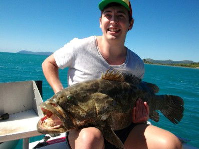 Gone Fishing By Coral Sea Fishing Charters Airlie Beach - Accommodation Gladstone 4