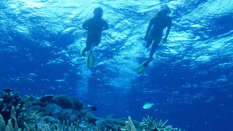 Air Whitsunday Day Tours - Accommodation Gladstone 1