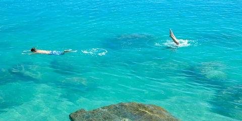 Salty Dog Sea Kayaking - Accommodation Gladstone 1