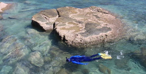 Salty Dog Sea Kayaking - Accommodation Gladstone 6