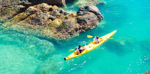 Salty Dog Sea Kayaking - Accommodation Gladstone 9