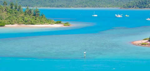 Salty Dog Sea Kayaking - Accommodation Gladstone 10