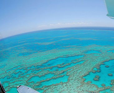 Air Whitsunday Seaplanes - Accommodation Gladstone 0