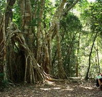 The Airlie Creek Track - Accommodation Gladstone